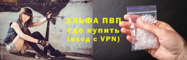 стаф Аркадак
