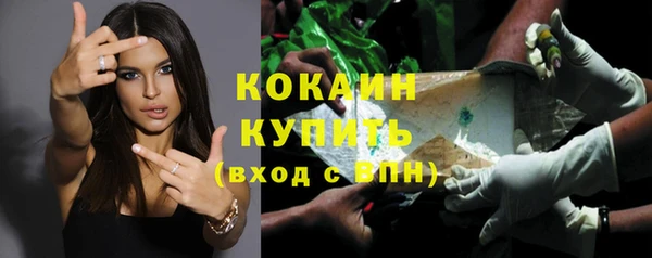 стаф Аркадак