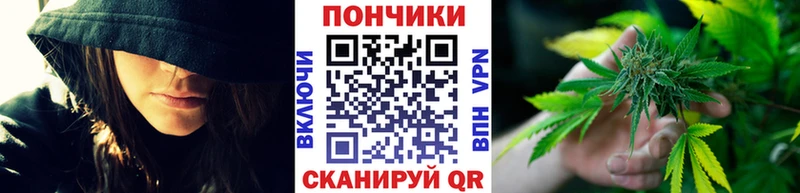 Шишки марихуана ГИДРОПОН  цена наркотик  Грайворон 
